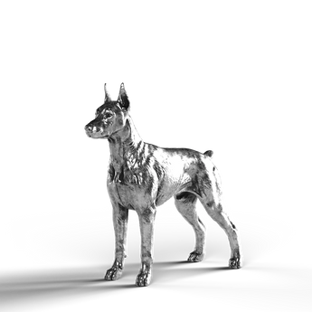 Silver Statue of a Doberman Pinscher made from 999 Fine Silver.