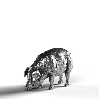 Silver statue of a pig made from 999 fine silver.