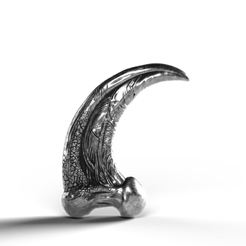 Silver statue of a detailed raptor claw, 999 fine silver.