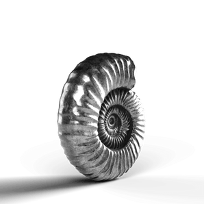 Ammonite Fossil - SignalOaks Silver Statue