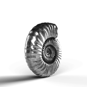 Ammonite Fossil - SignalOaks Silver Statue