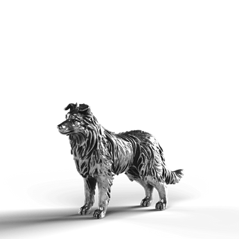 Border Collie - SignalOaks Silver Statue