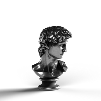 David Bust - SignalOaks Silver Statue