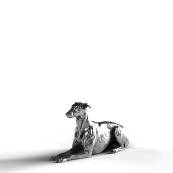 Greyhound Laying Down - SignalOaks Silver Statue