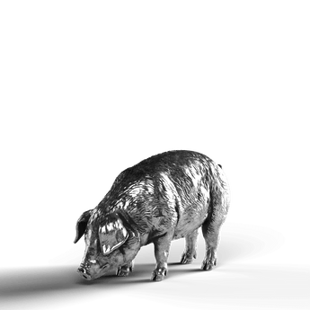 Pig - SignalOaks Silver Statue
