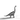 Silver statue of a Brachiosaurus made from 999 fine silver.