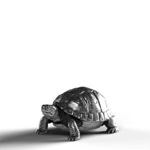 Box Turtle - SignalOaks Silver Statue