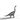 Brachiosaurus - SignalOaks Silver Statue