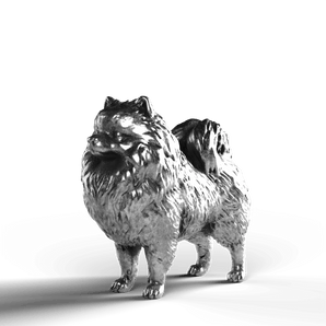 Pomeranian - SignalOaks Silver Statue